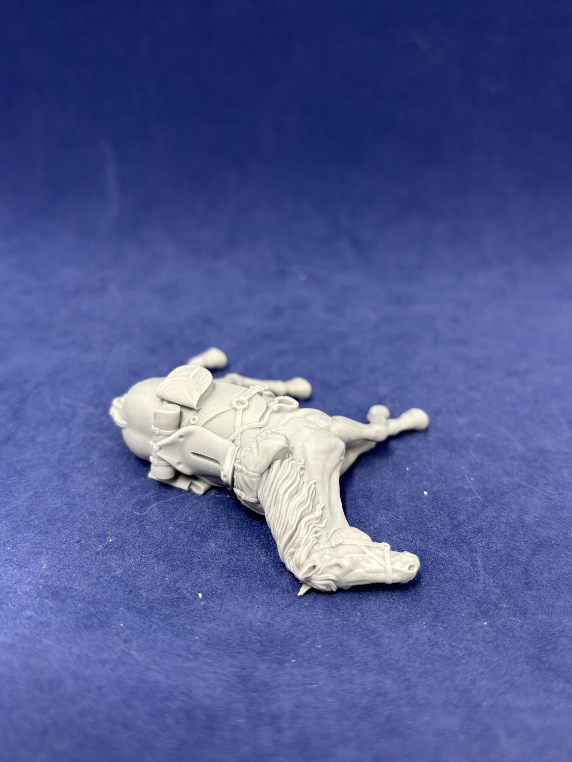 Dead horse