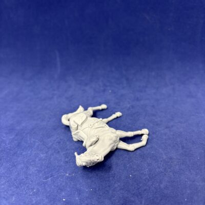 Horse injured and fearful, head up