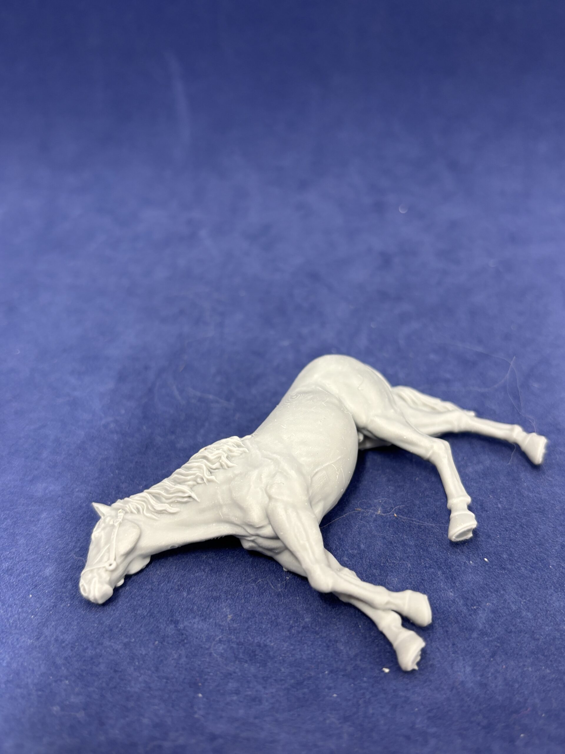 Horse casualty, v6