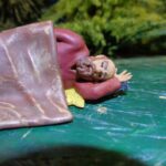Two medieval men sleeping - NCM photo review