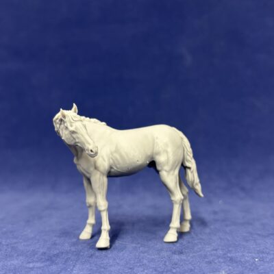 Native American Horse looking back