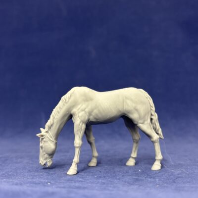 Native American Horse grazing, calm
