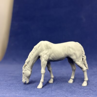 Native American Horse grazing, ears back