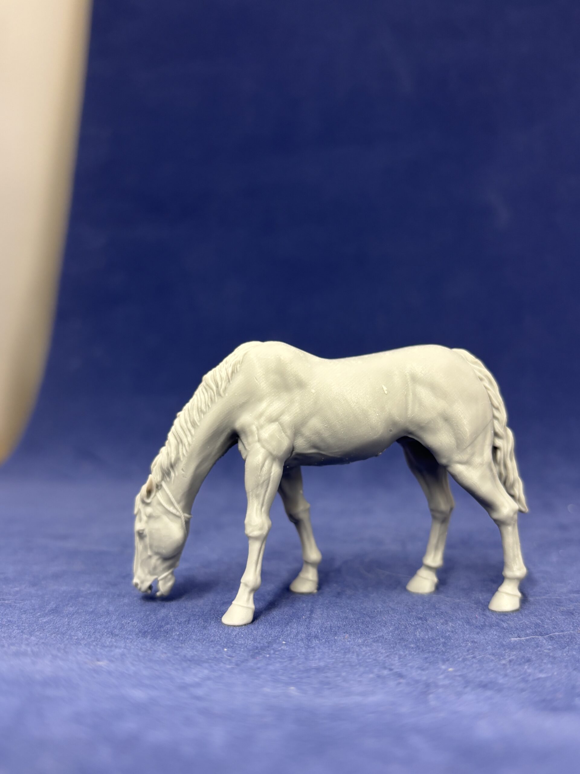 Native American Horse grazing, ears back