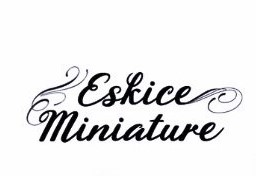 Eskice Miniatures