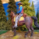 Wild West Cowboy Rider photo review