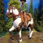 Wild West Cowboy bearded Rider photo review