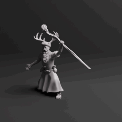 Germanic Druid 01