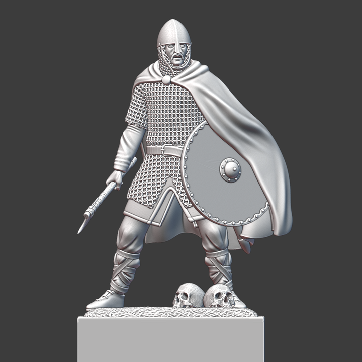 Viking Warrior Display