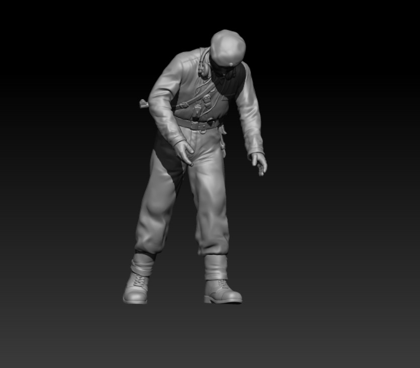 Swedish Centurion Tank Soldier 1950s V7 Officer