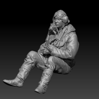 British WW2 pilot sitting in airplane v2