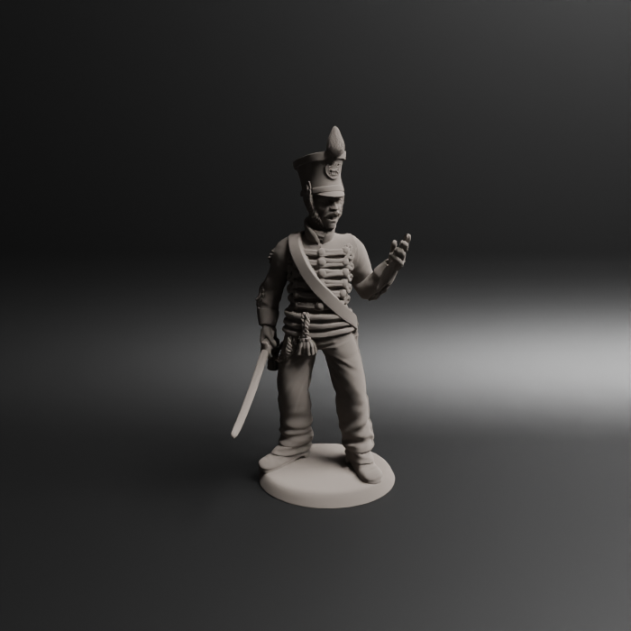 Command Group Brunswick Line Infantry 4