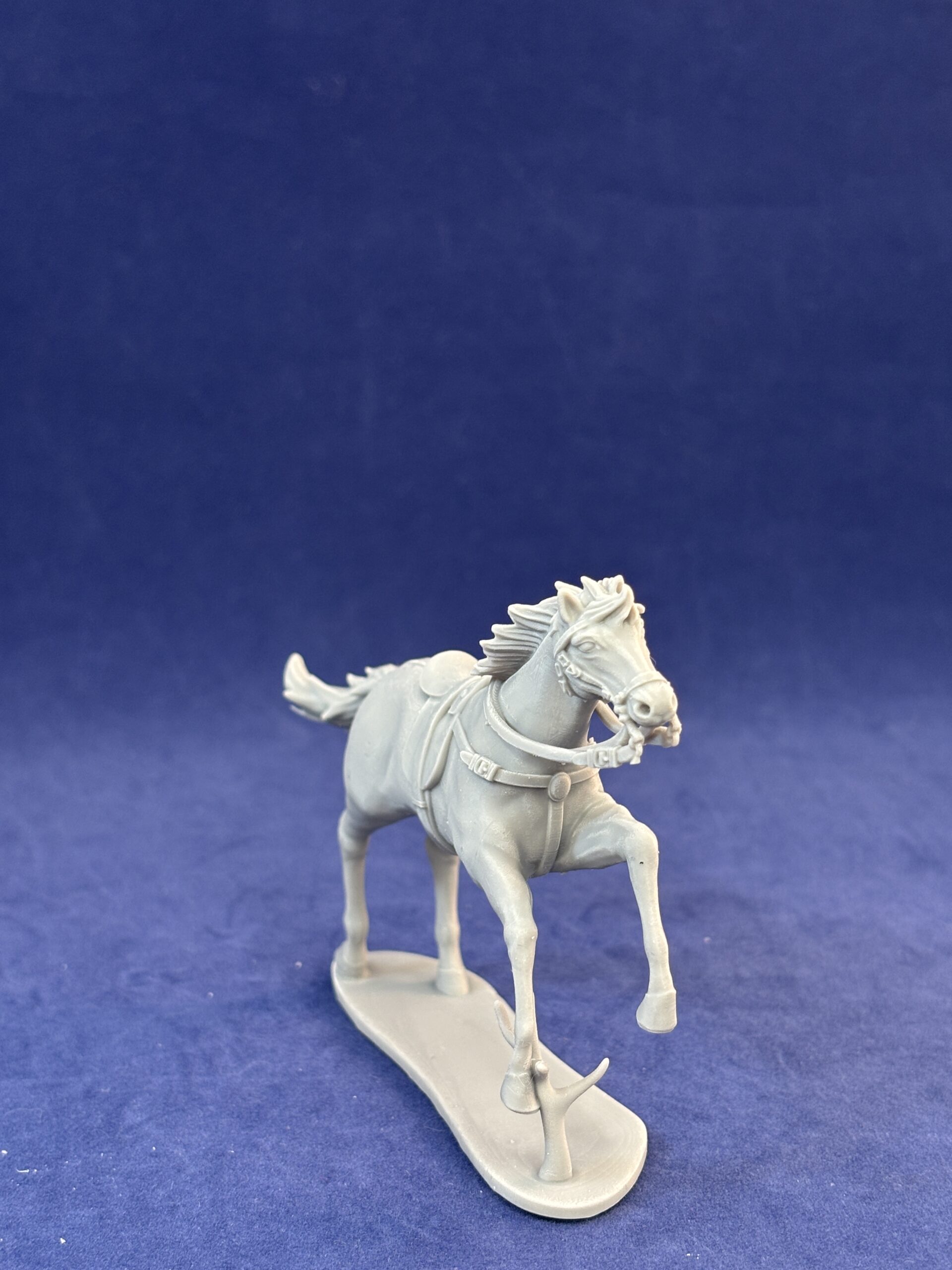Prince of Orange Horse 2