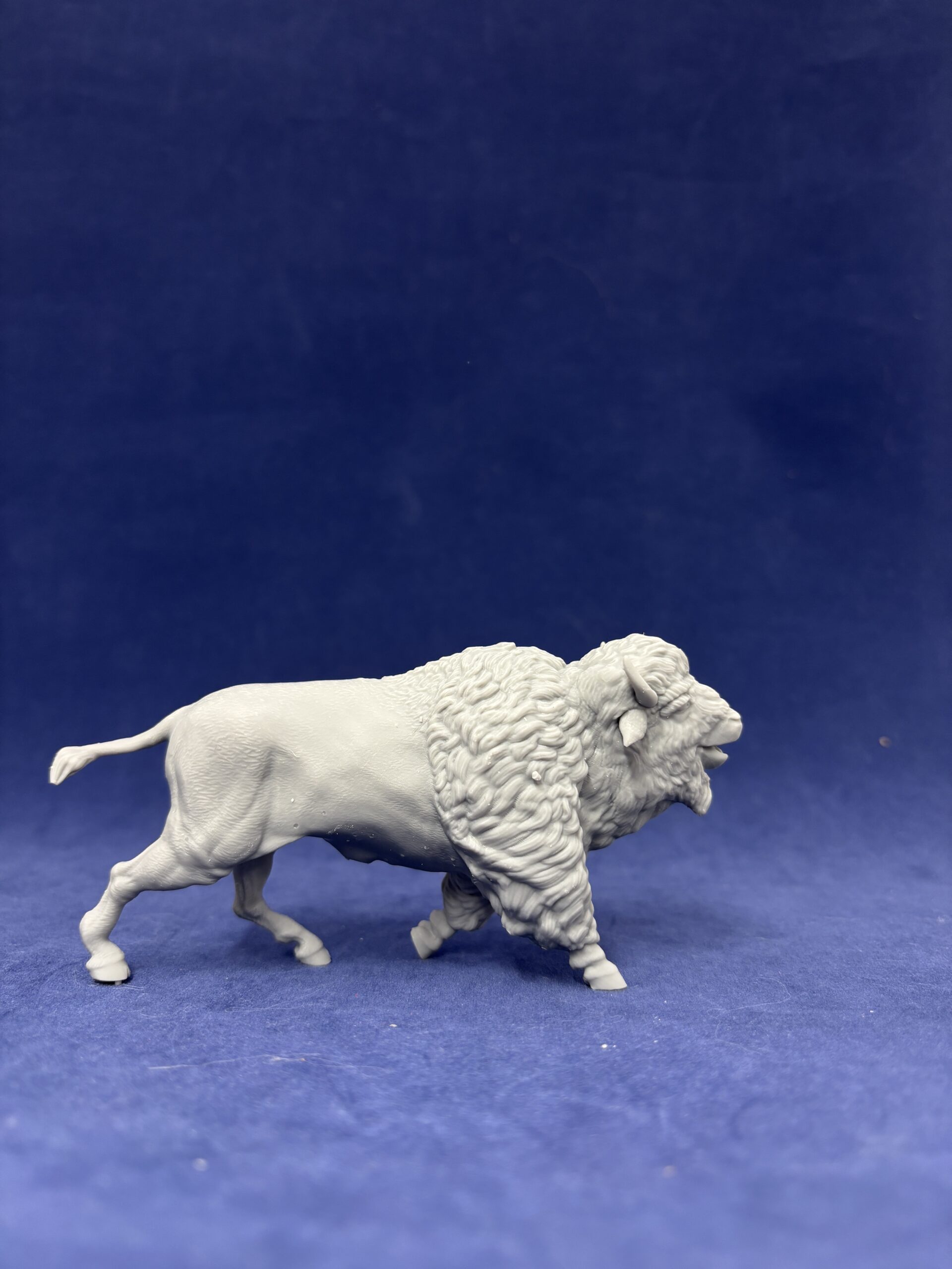 Bison running happy