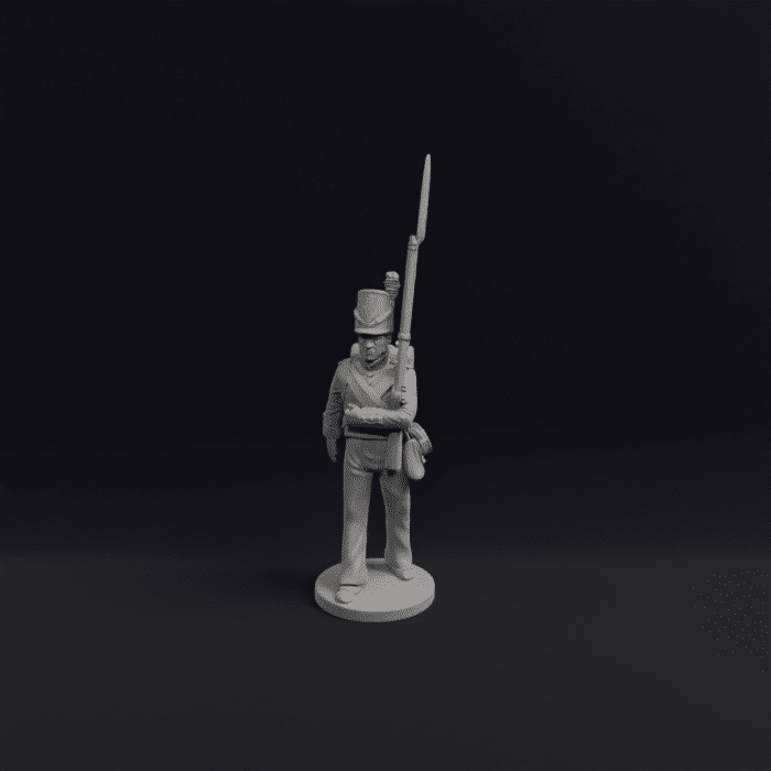 Napoleonic Belgian Line infantry and flank 1a