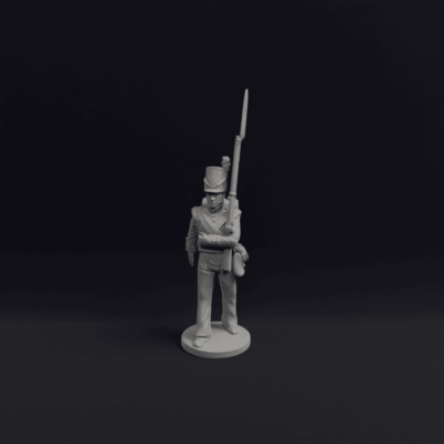Napoleonic Belgian Line infantry and flank 1b