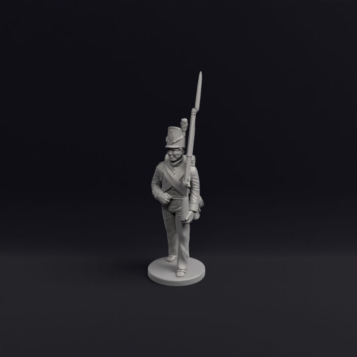 Napoleonic Belgian Line infantry and flank 2a