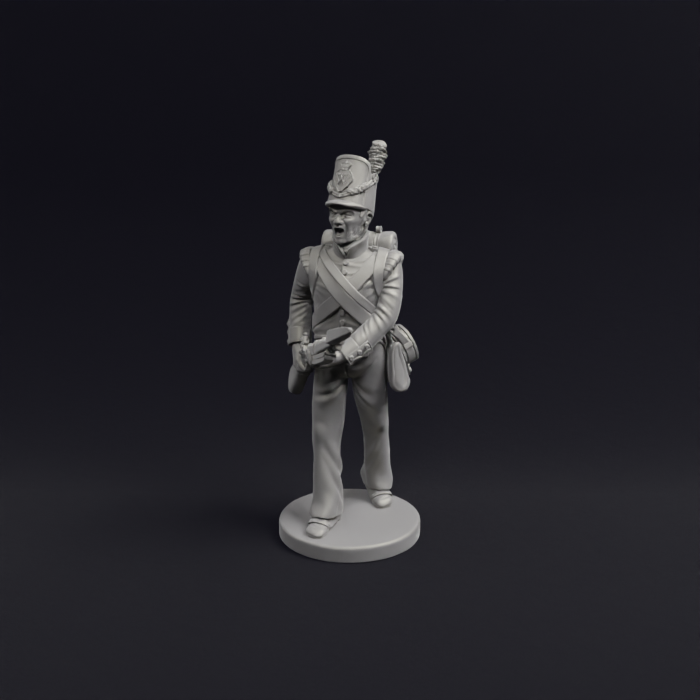 Napoleonic Belgian Line infantry and flank 5b