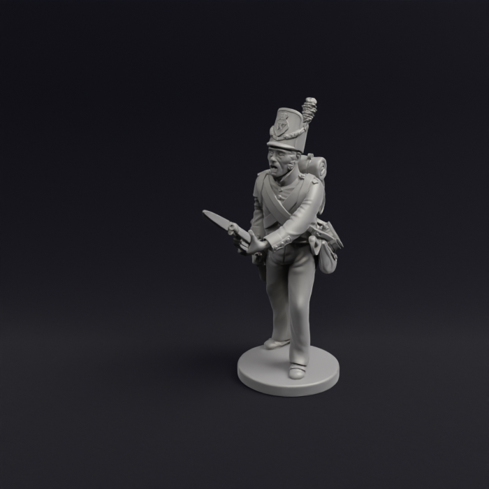 Napoleonic Belgian Line infantry and flank 8a