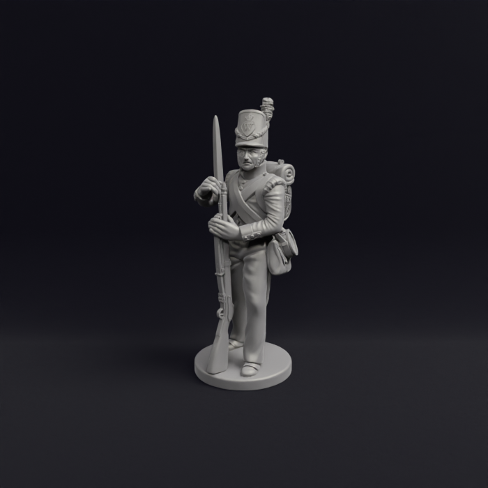 Napoleonic Belgian Line infantry and flank 9b