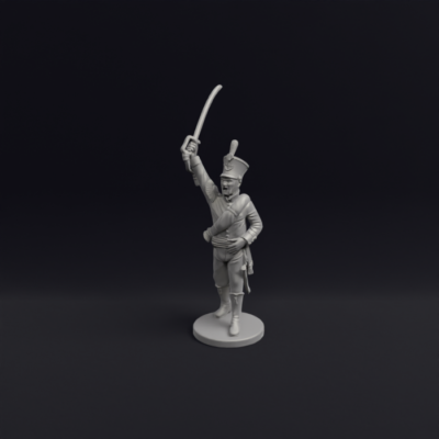 Napoleonic Dutch Jager 17b