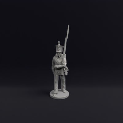 Napoleonic Nassau 1st Regiment Grenadiers 1