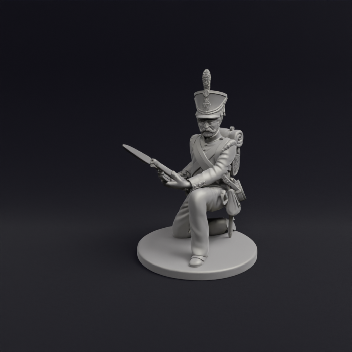Napoleonic Orange Nassau Flanks 17b