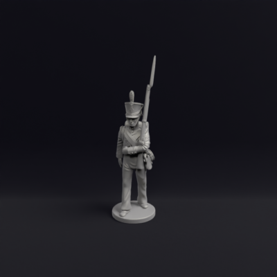 Napoleonic Orange Nassau Flanks 1b