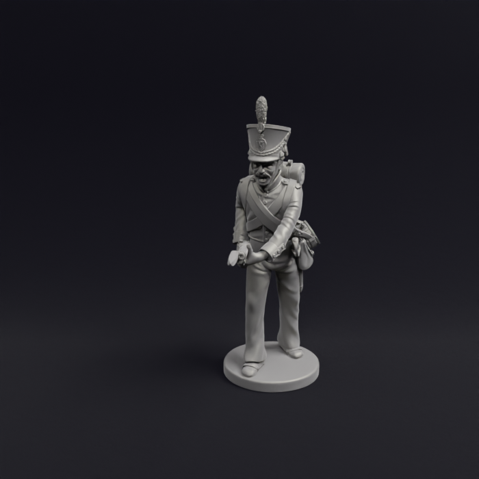 Napoleonic Orange Nassau Line Infantry 8a