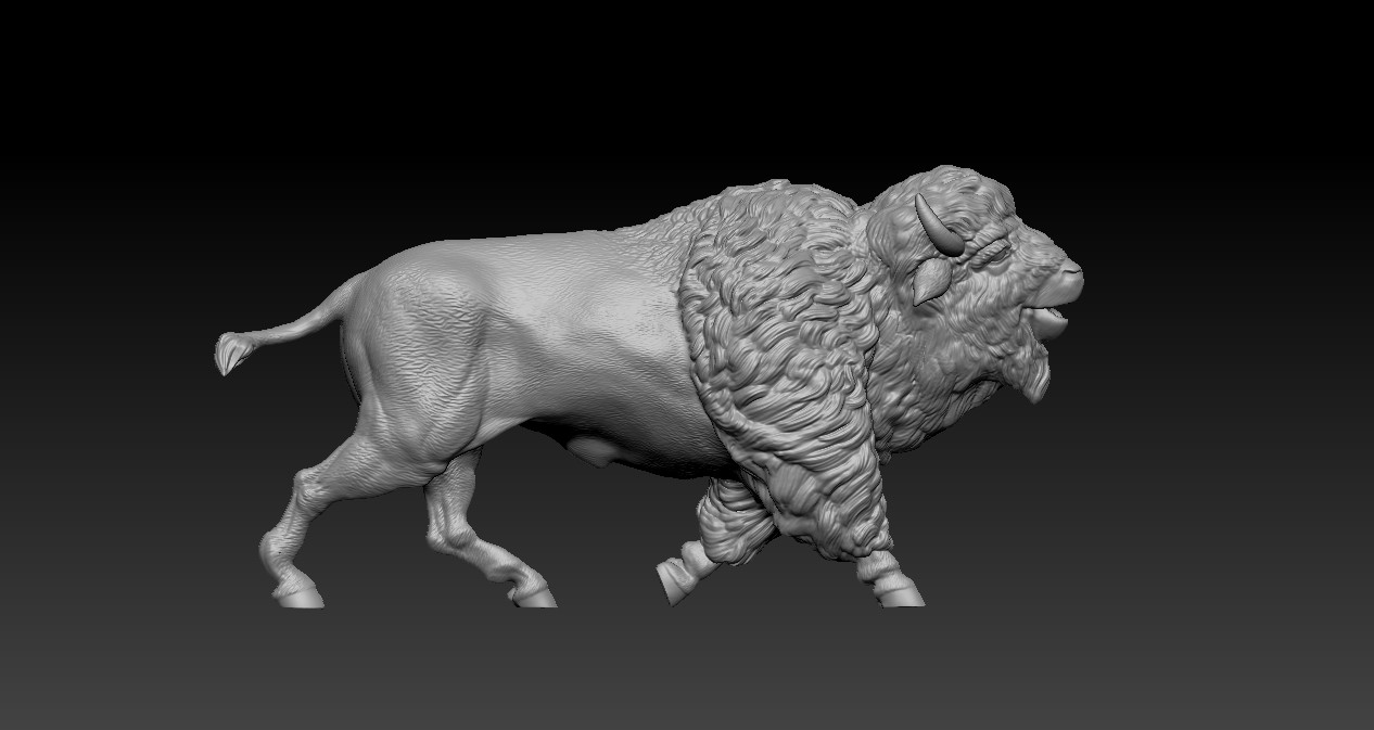 Bison running happy