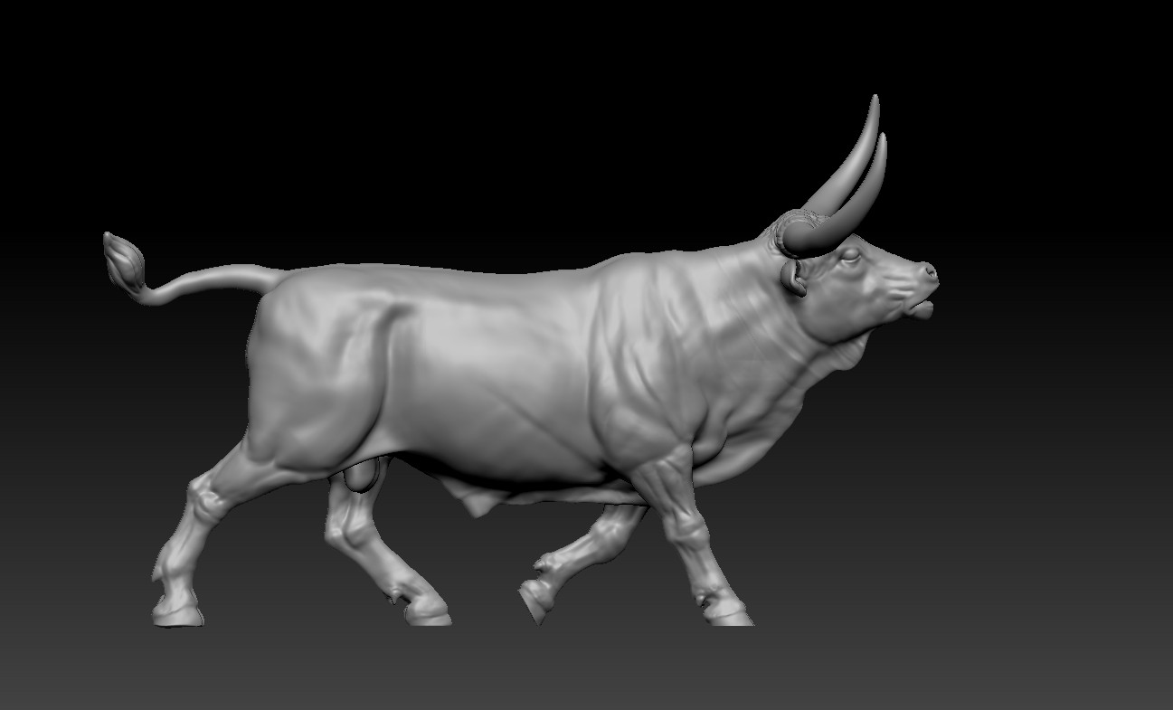 Texas Longhorn running happy