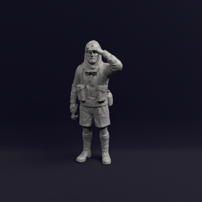 British SAS rifleman commando looking at horizon - WW2 North Africa