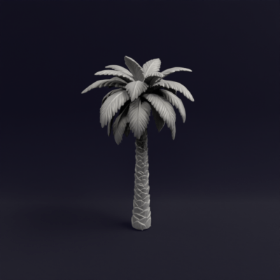 Palmtree
