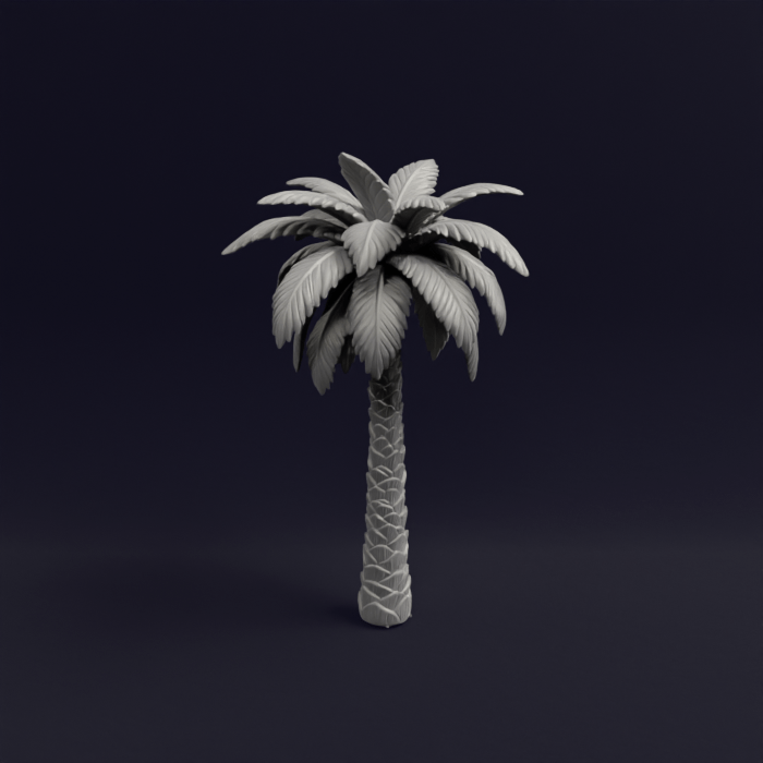 Palmtree