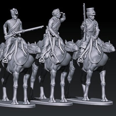 French Napoleonic Wars French Dromedary Regiment Mounted part2