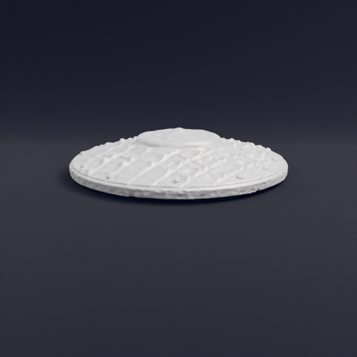 4x Roman Shield Damaged