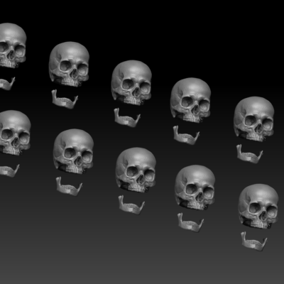 10 Skulls set