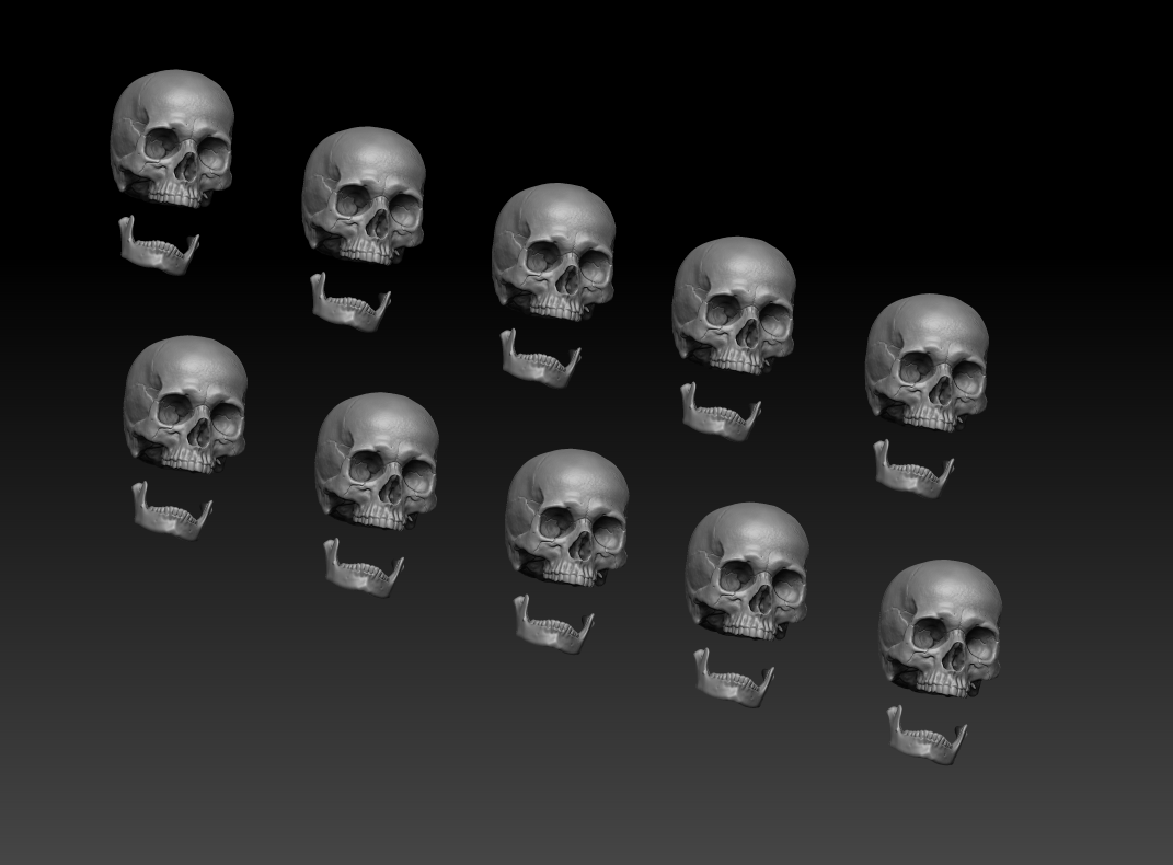10 Skulls set