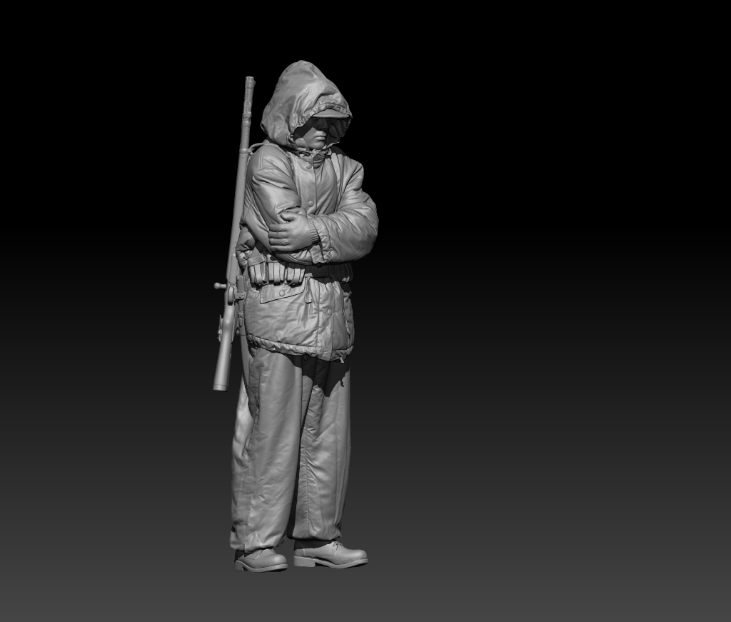German winter soldier standing guard freezing